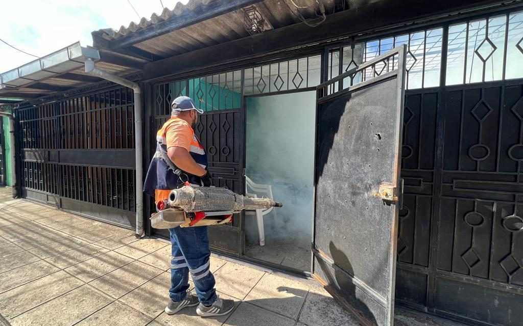 Jornadas municipales de fumigación diarias en los cinco distritos