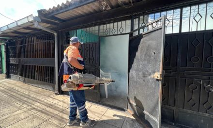 Jornadas municipales de fumigación diarias en los cinco distritos