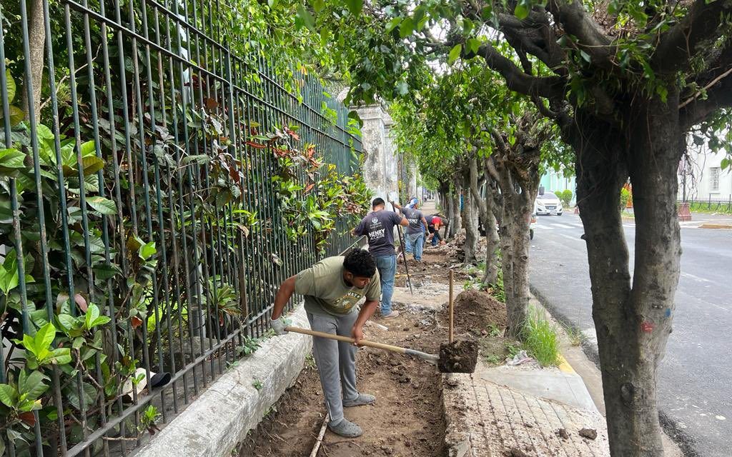 Proyecto de reconstrucción de aceras se extiende en todo Santa Tecla